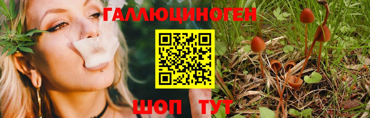 Псилоцибиновые грибы Magic Shrooms Балаково