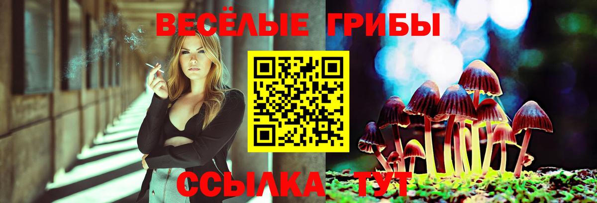 Балаково  Галлюциногенные грибы мухоморы  Вход с VPN 